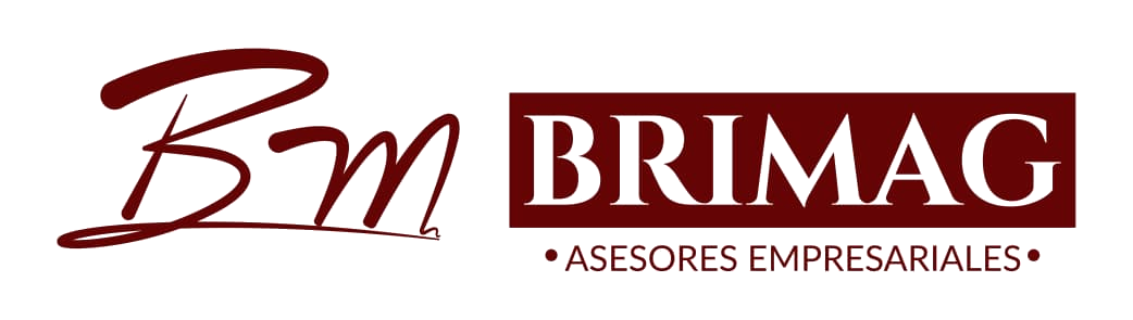 BRIMAG Logo
